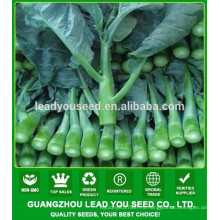 NKL03 Жиру лучший китайский брокколи,семена капусты,семена овощных культур